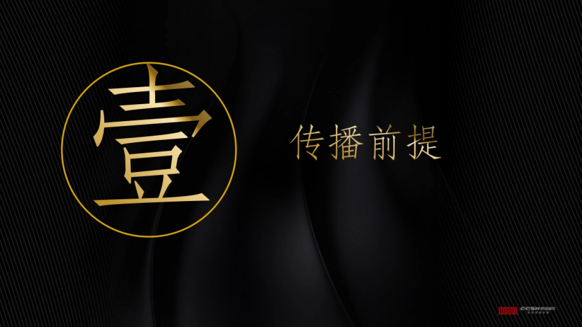 深圳长城盛花-天府传播执行策略_第2页