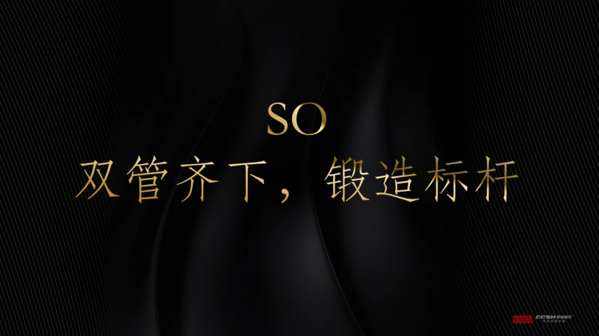 深圳长城盛花-天府传播执行策略_第6页