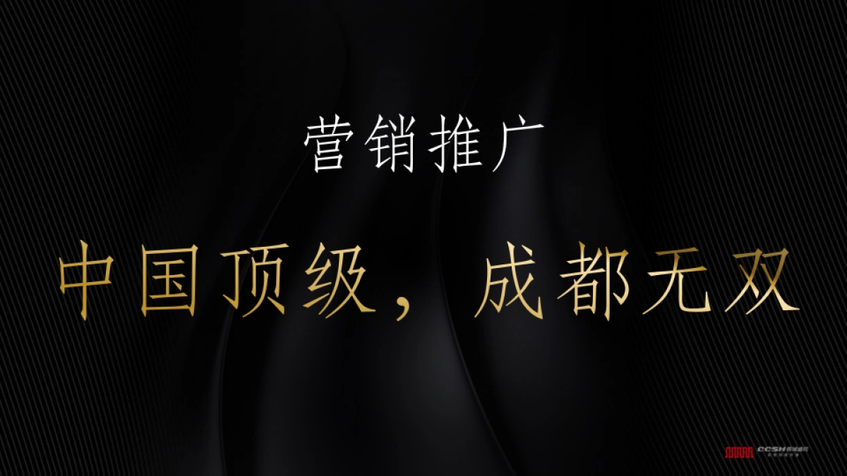 深圳长城盛花-天府传播执行策略_第8页