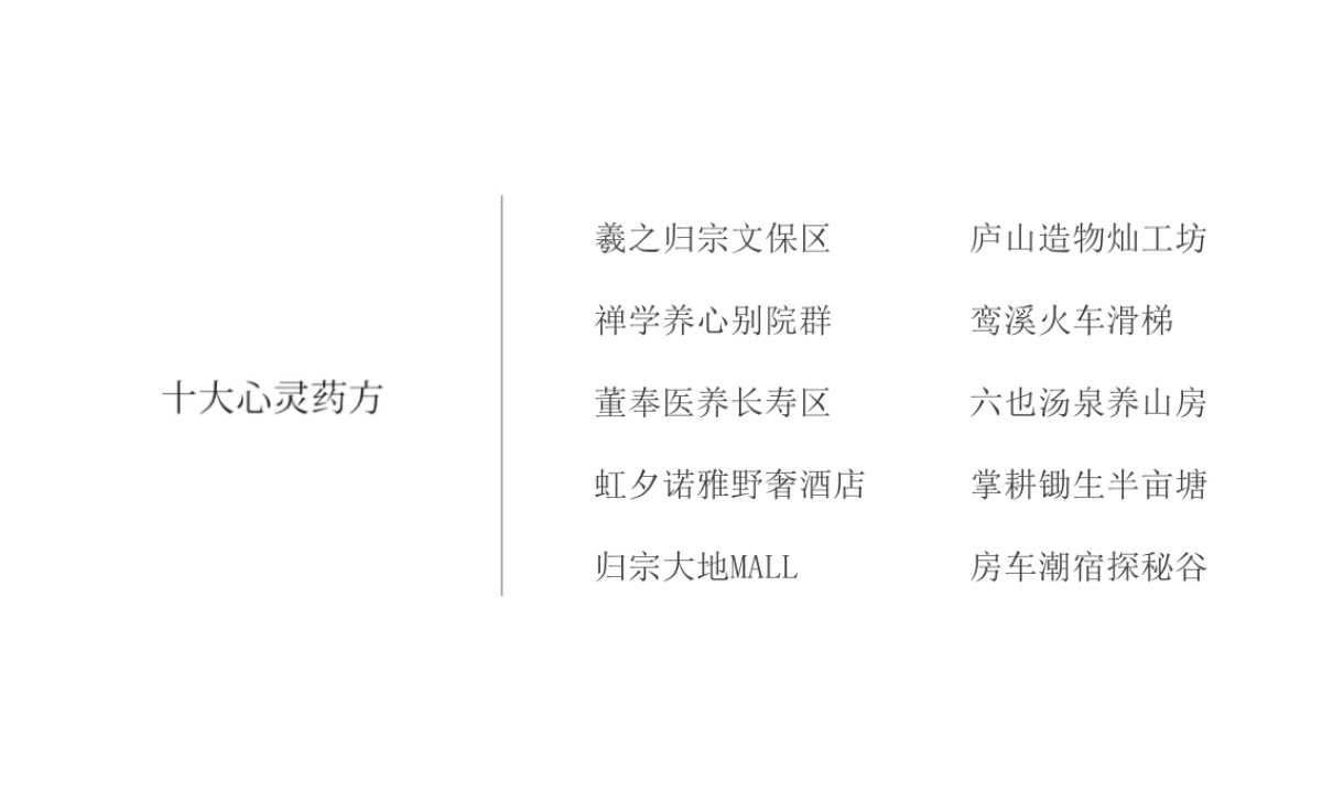 中航归宗度假养心文化旅游度假区品牌形象执行案_第5页