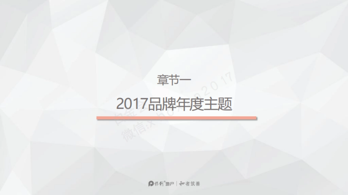 2017年品牌首秀执行方案_第3页
