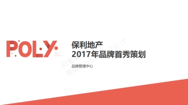 2017年品牌首秀执行方案