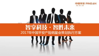 2017中国平安产险明星会策划执行方案