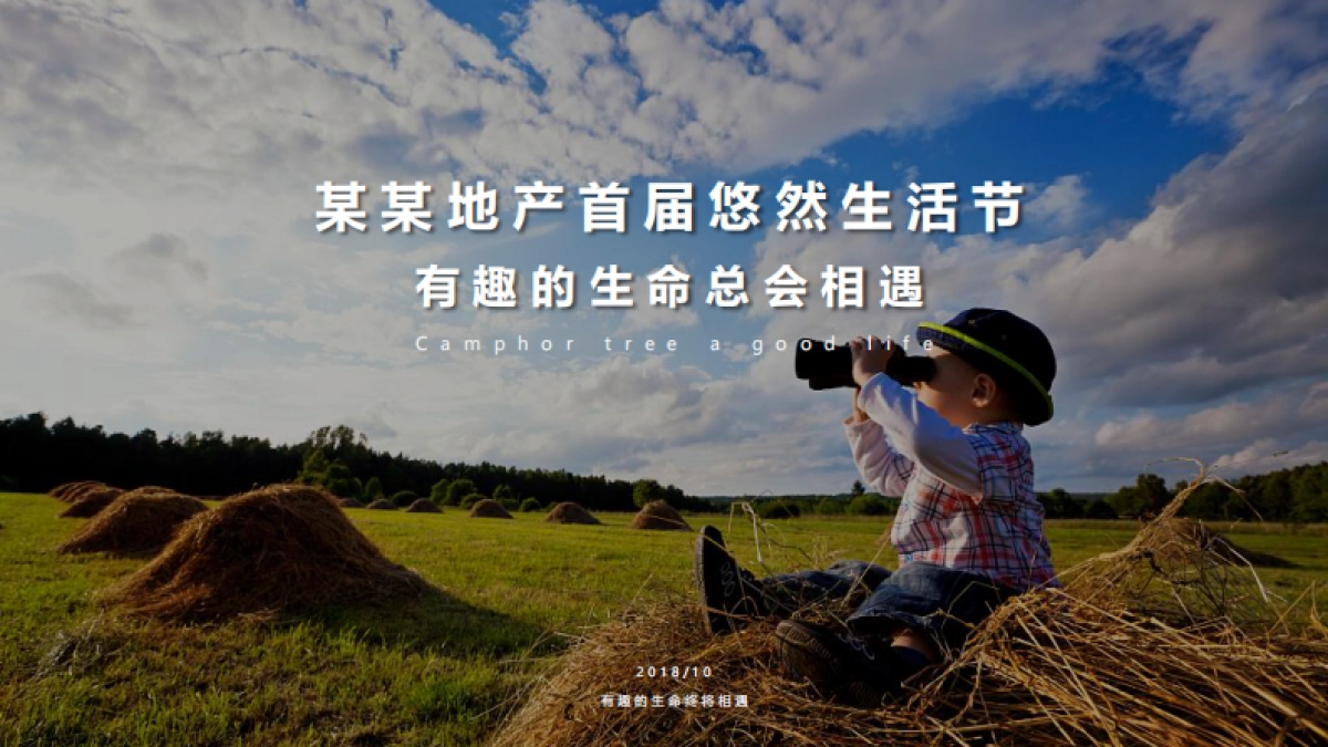 2018年地产悠然生活节执行方案_第4页