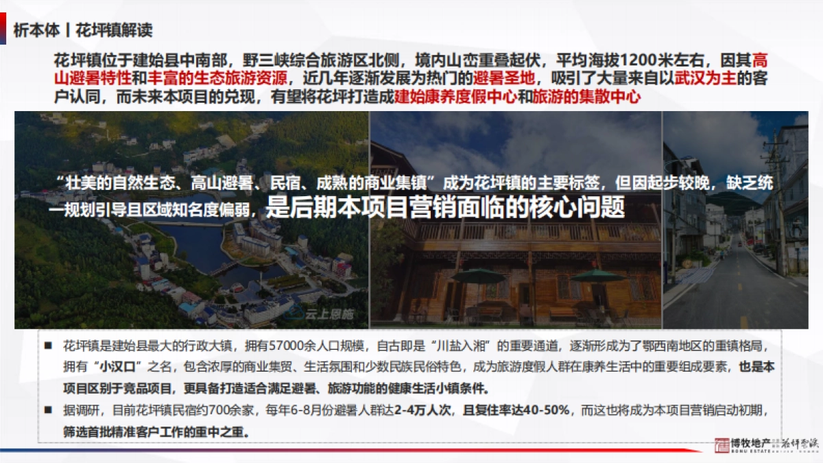 2021花坪云溪文旅小镇项目年度营销执行方案_第7页