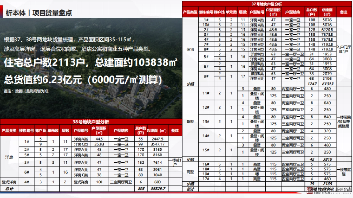 2021花坪云溪文旅小镇项目年度营销执行方案_第9页