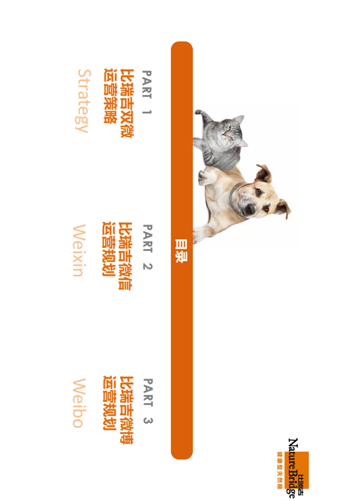 比瑞吉双微运营方案_第2页