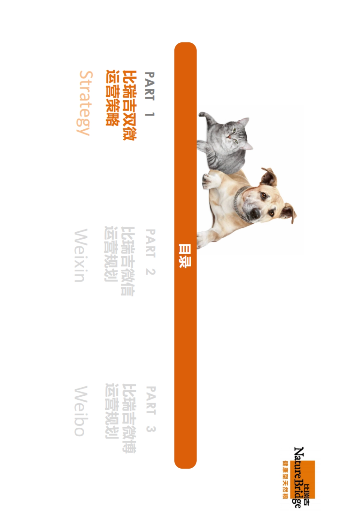 比瑞吉双微运营方案_第3页