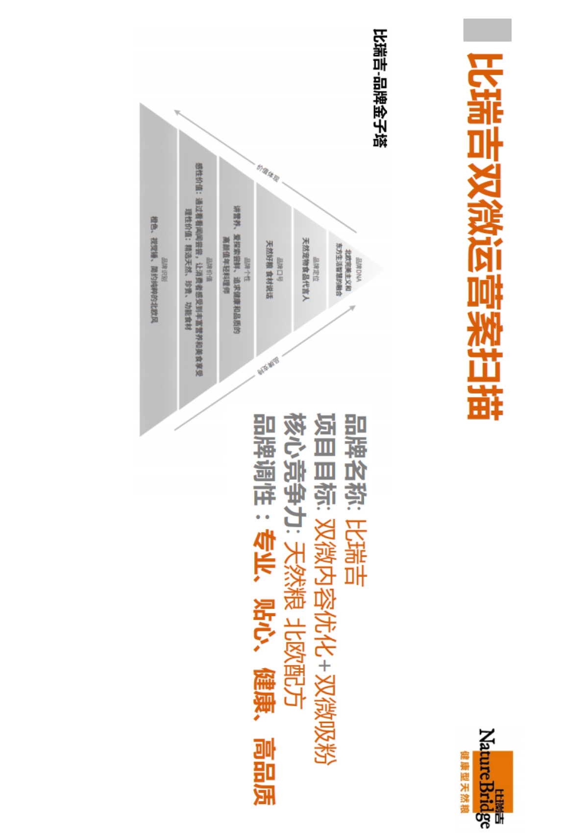 比瑞吉双微运营方案_第4页