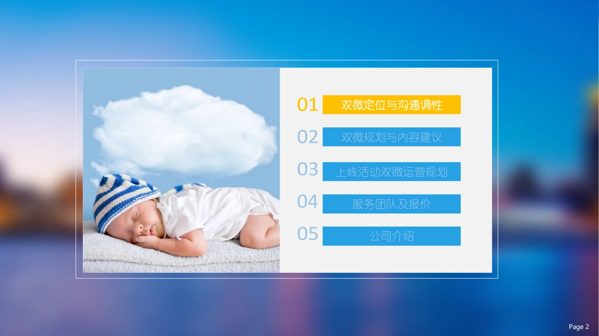 Suyappy舒芽奇双微运营方案170428 89页_第2页