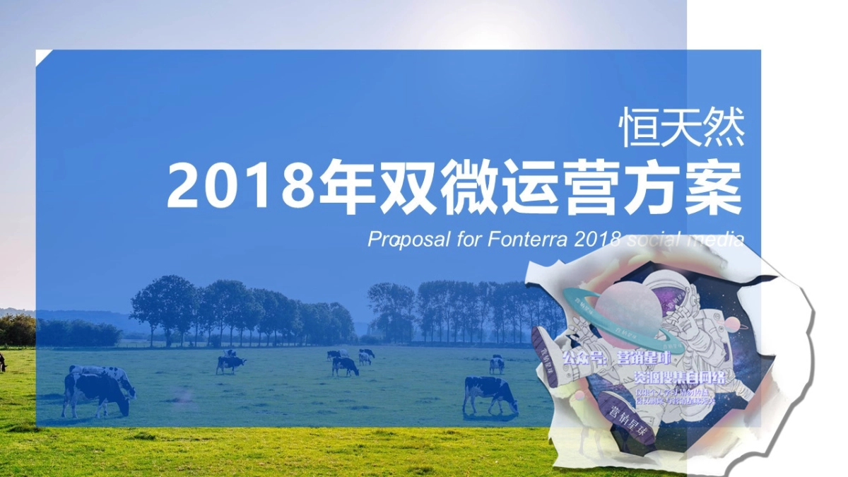 恒天然双微方案1009 v3_第1页