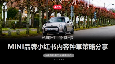 INI中国 小红书种草运营思路