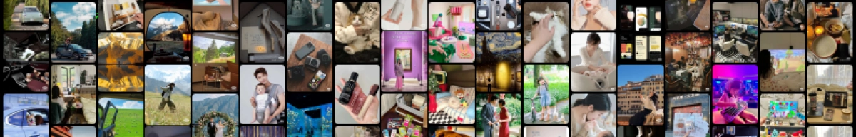 万物皆可种草_第4页