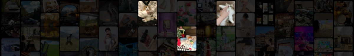 万物皆可种草_第5页