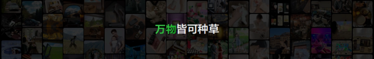 物皆可种草_第7页