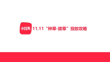 小红书11.11种草-拔草投放攻略