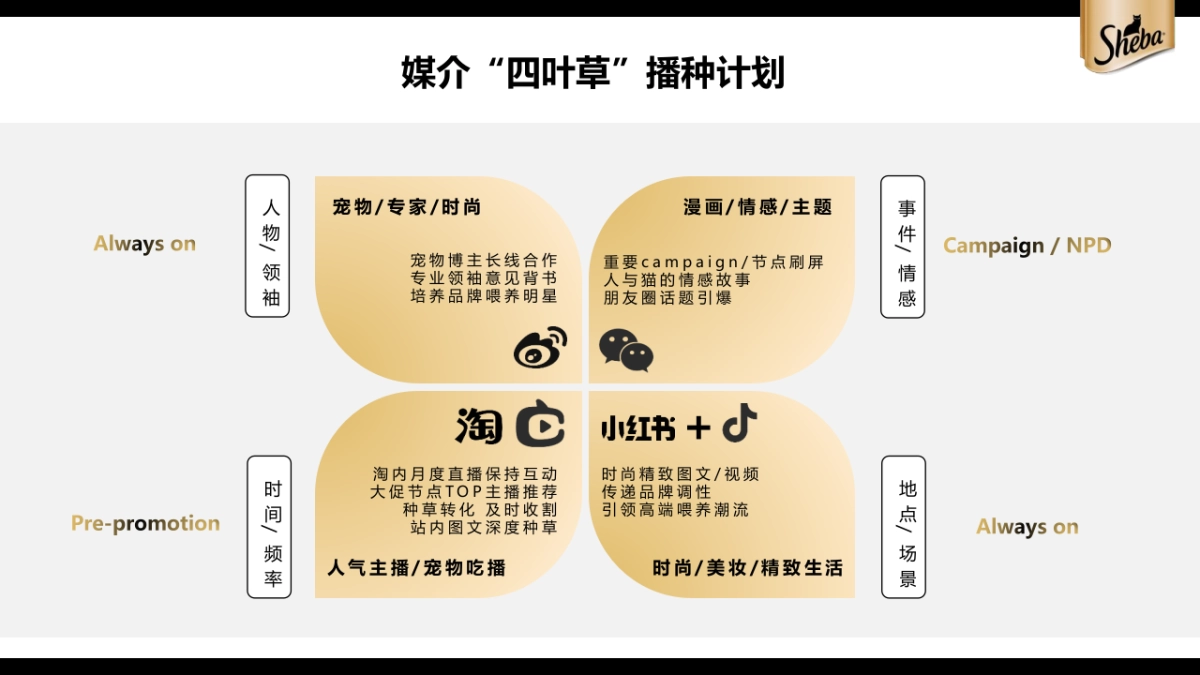 宠物粮品牌全年内容种草创意营销方案_第10页