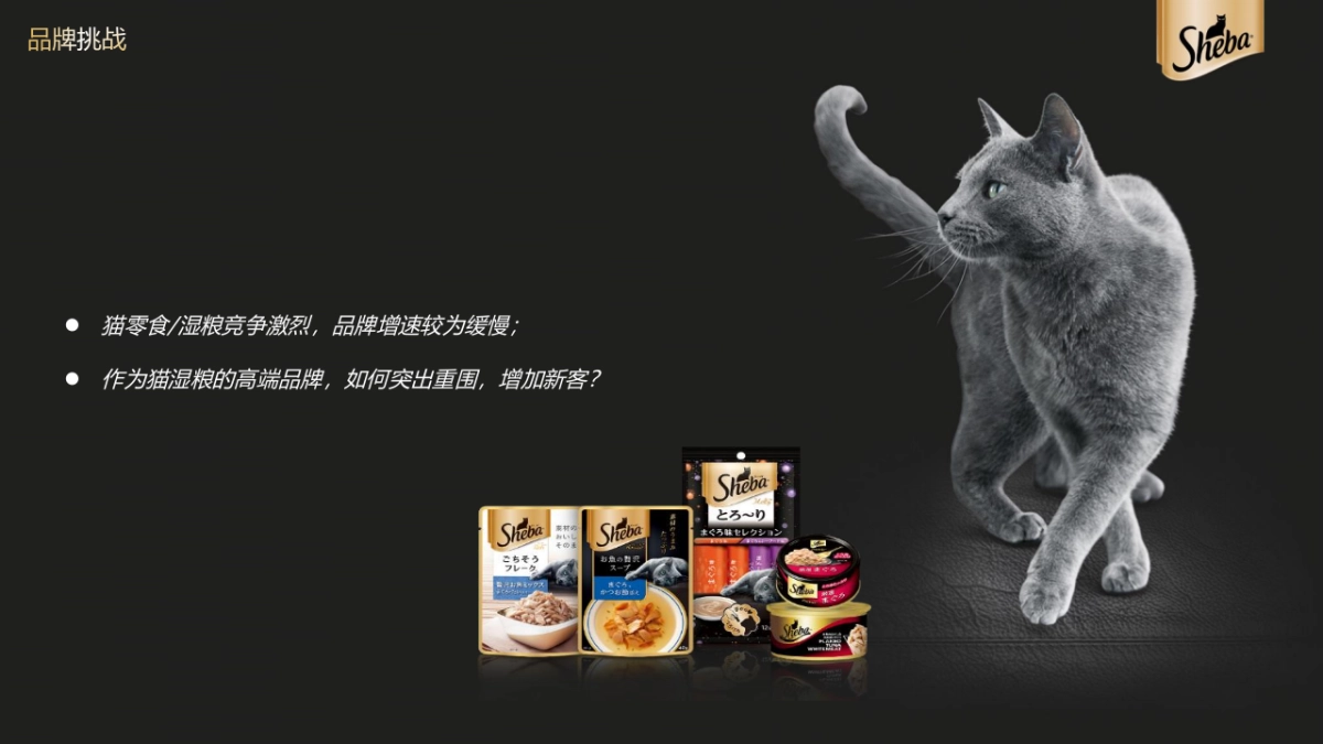 宠物粮品牌全年内容种草创意营销方案_第2页