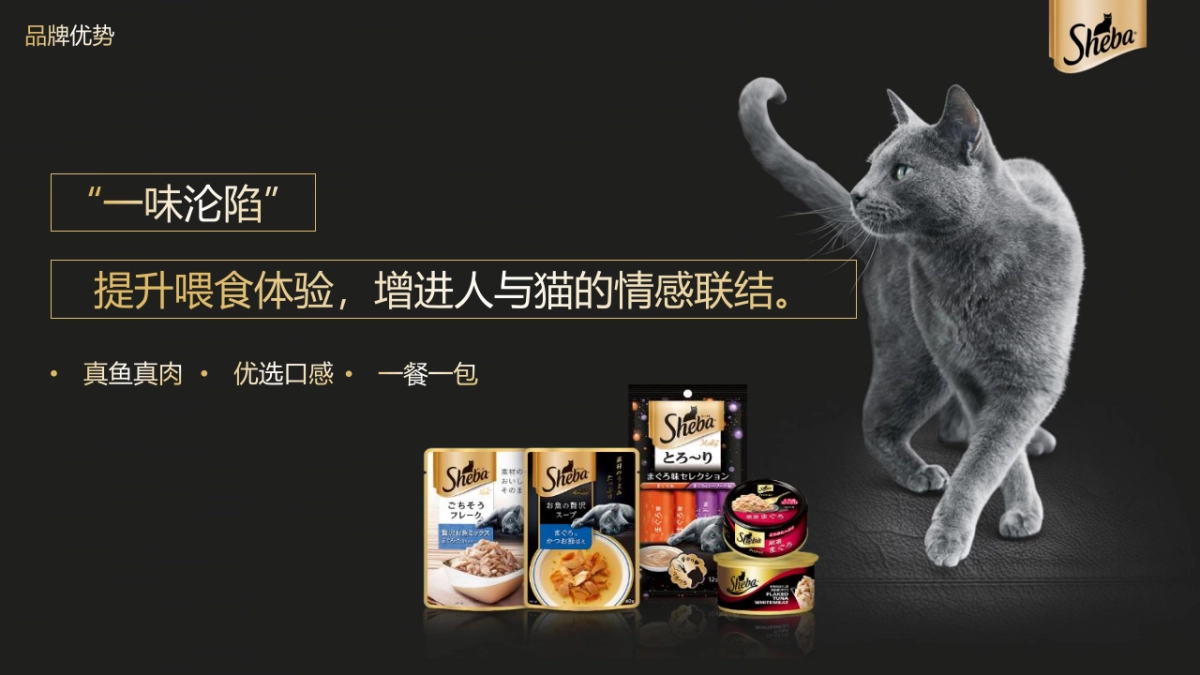 宠物粮品牌全年内容种草创意营销方案_第4页