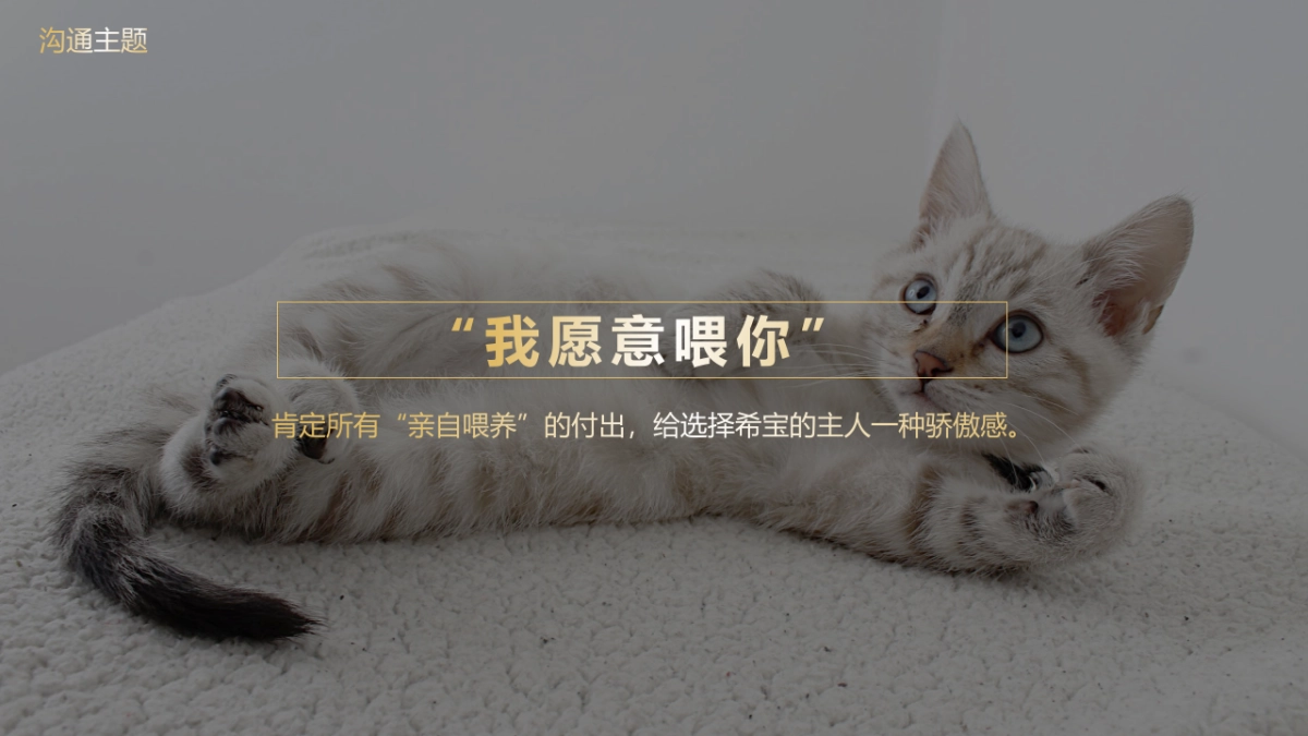 宠物粮品牌全年内容种草创意营销方案_第6页