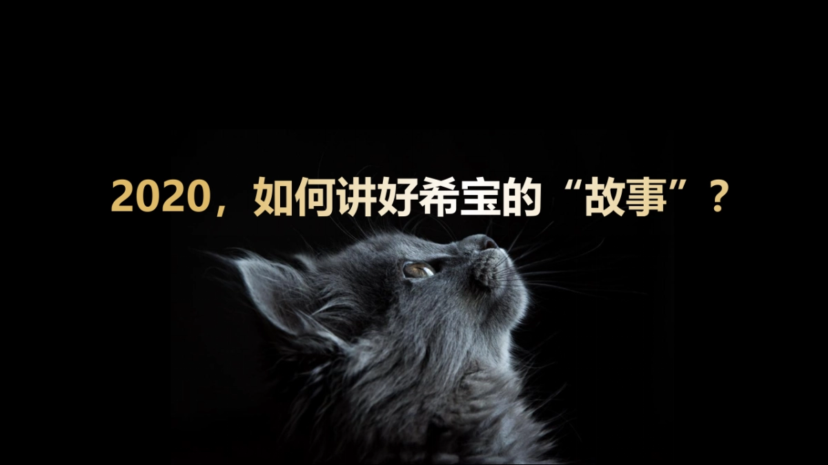 宠物粮品牌全年内容种草创意营销方案_第8页