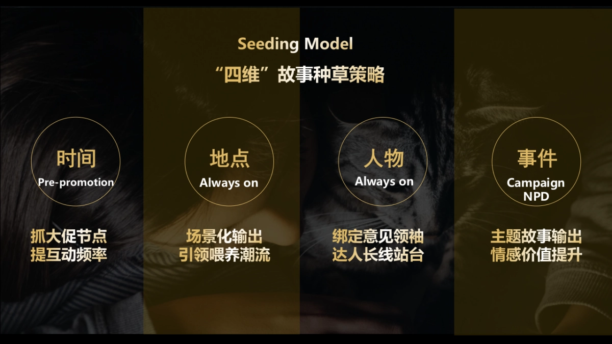 宠物粮品牌全年内容种草创意营销方案_第9页