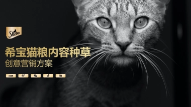 宠物粮品牌全年内容种草创意营销方案