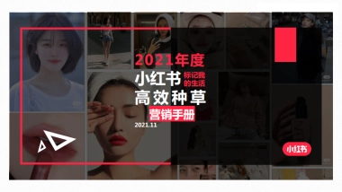 2021小红书新消费高效种草解决方案