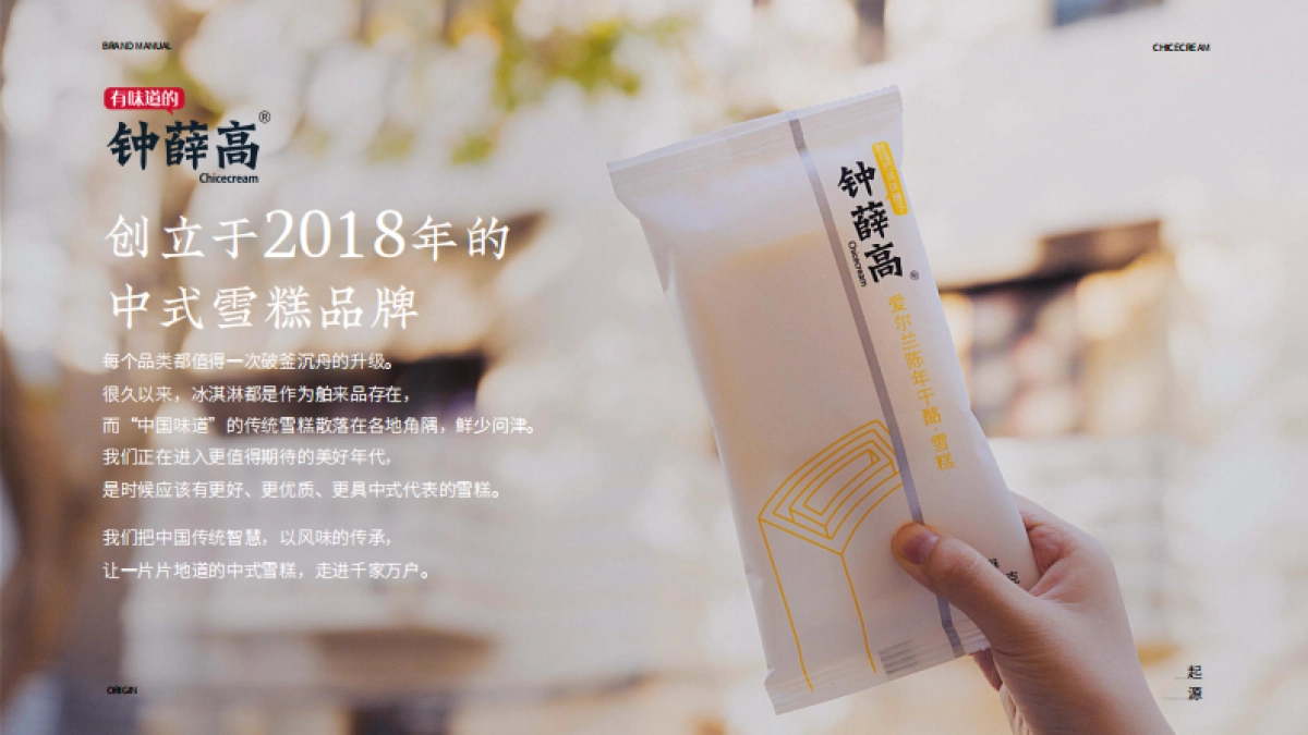 2022钟薛高雪糕品牌手册_第4页