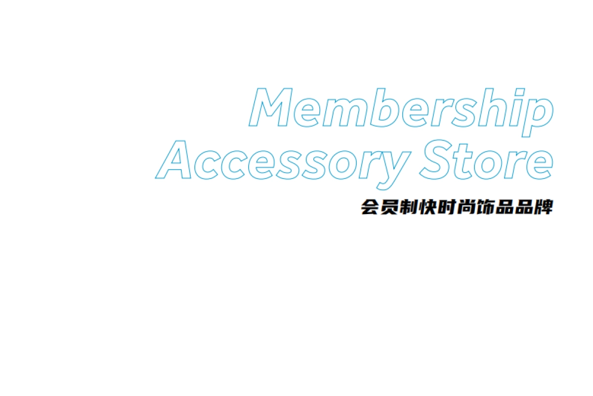 ACC超级饰品牌手册_第2页