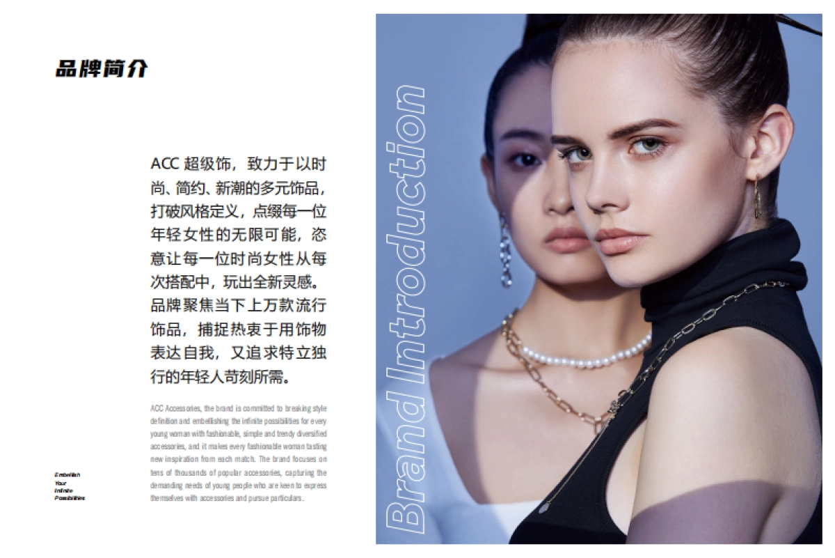 ACC超级饰品牌手册_第3页