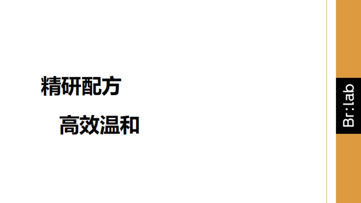 Brlab护肤品牌手册_第2页