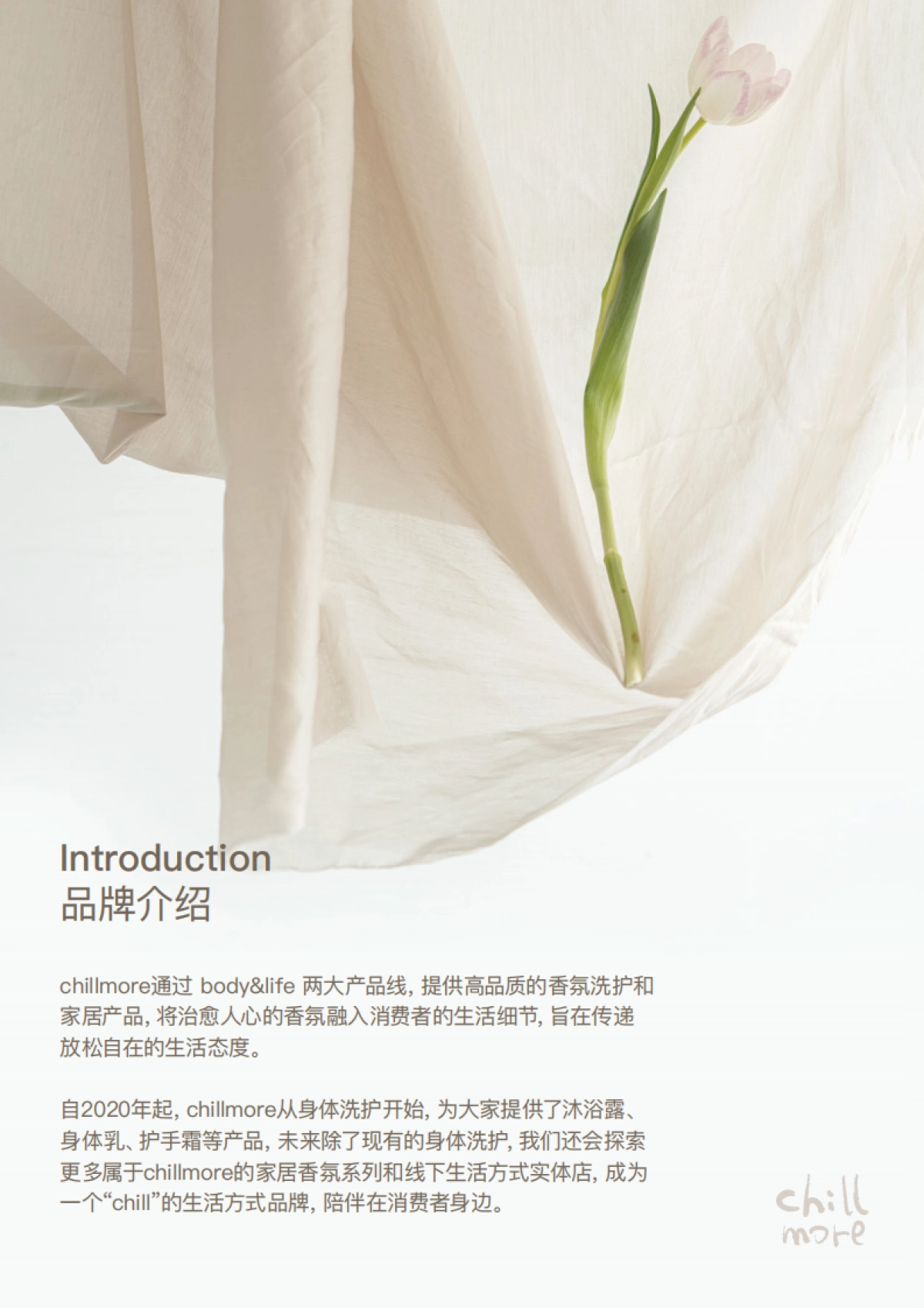 chillmore香氛品牌介绍_第3页