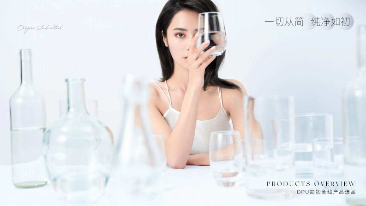 DPU产品介绍品牌背书_第1页