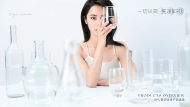 DPU产品介绍品牌背书