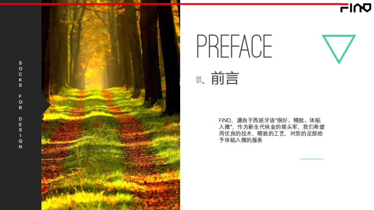 FINO SOCKS 品牌方案_第5页