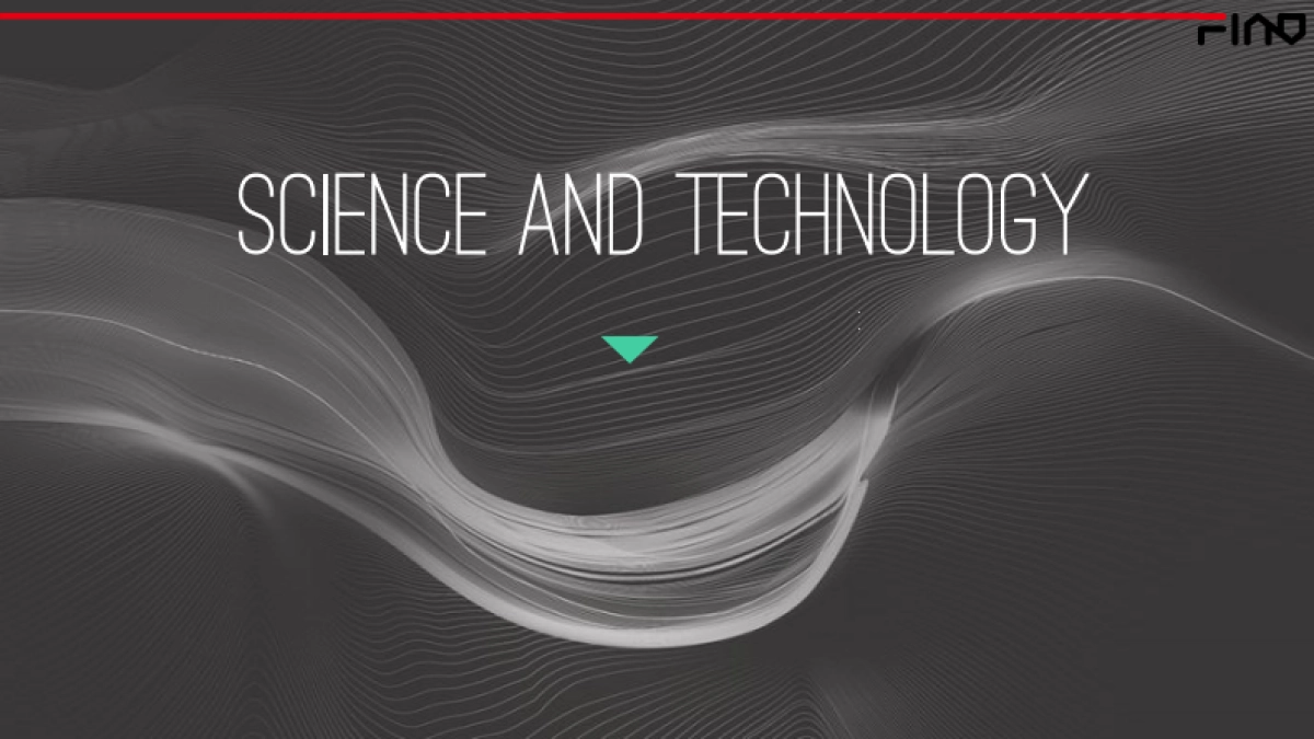 FINO SOCKS 品牌方案_第8页