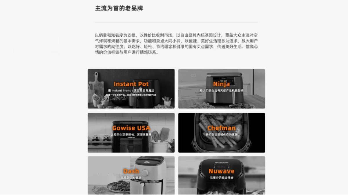 LAZANT空气炸锅品牌策划创意全案_第10页