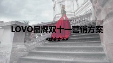 LOVO品牌双十一营销方案(0910)