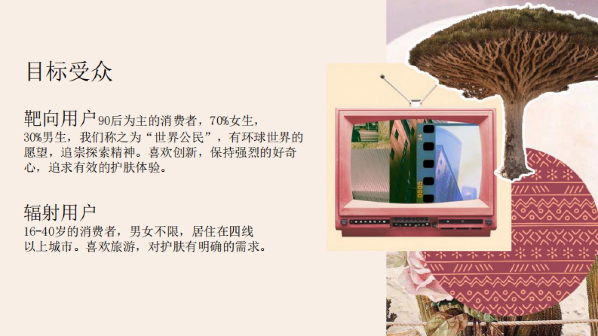 PMPM护肤品品牌手册_第4页