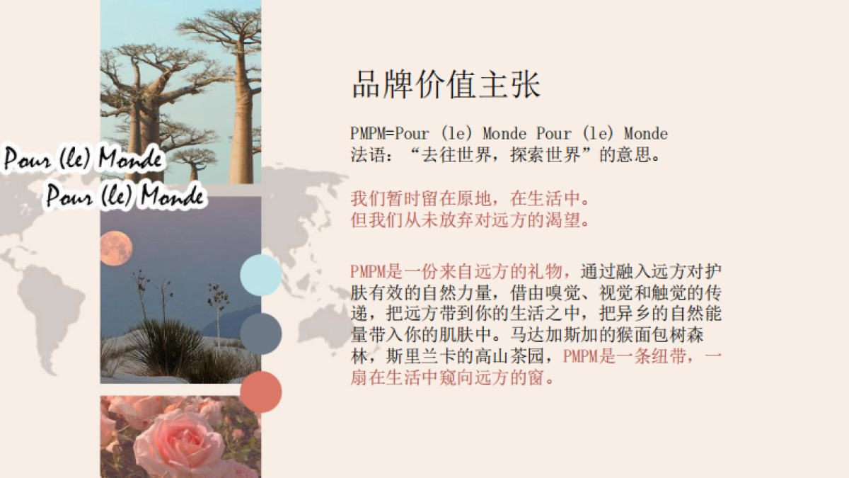 PMPM护肤品品牌手册_第5页