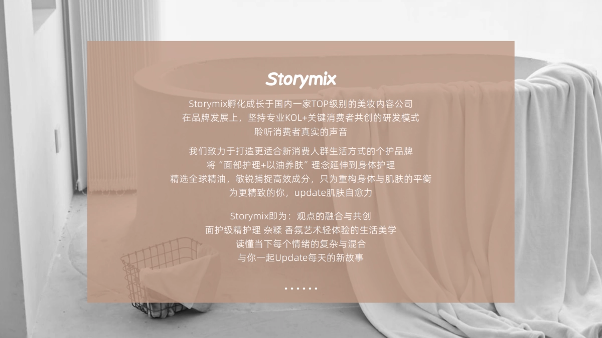 Storymix美妆品牌手册_第2页
