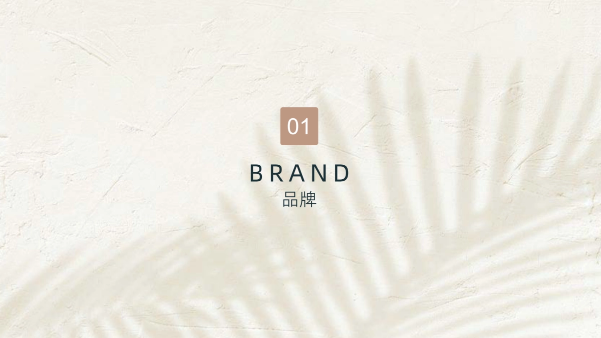 Storymix美妆品牌手册_第3页