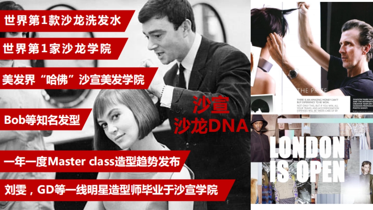 VS天猫超级品牌日方案_第6页