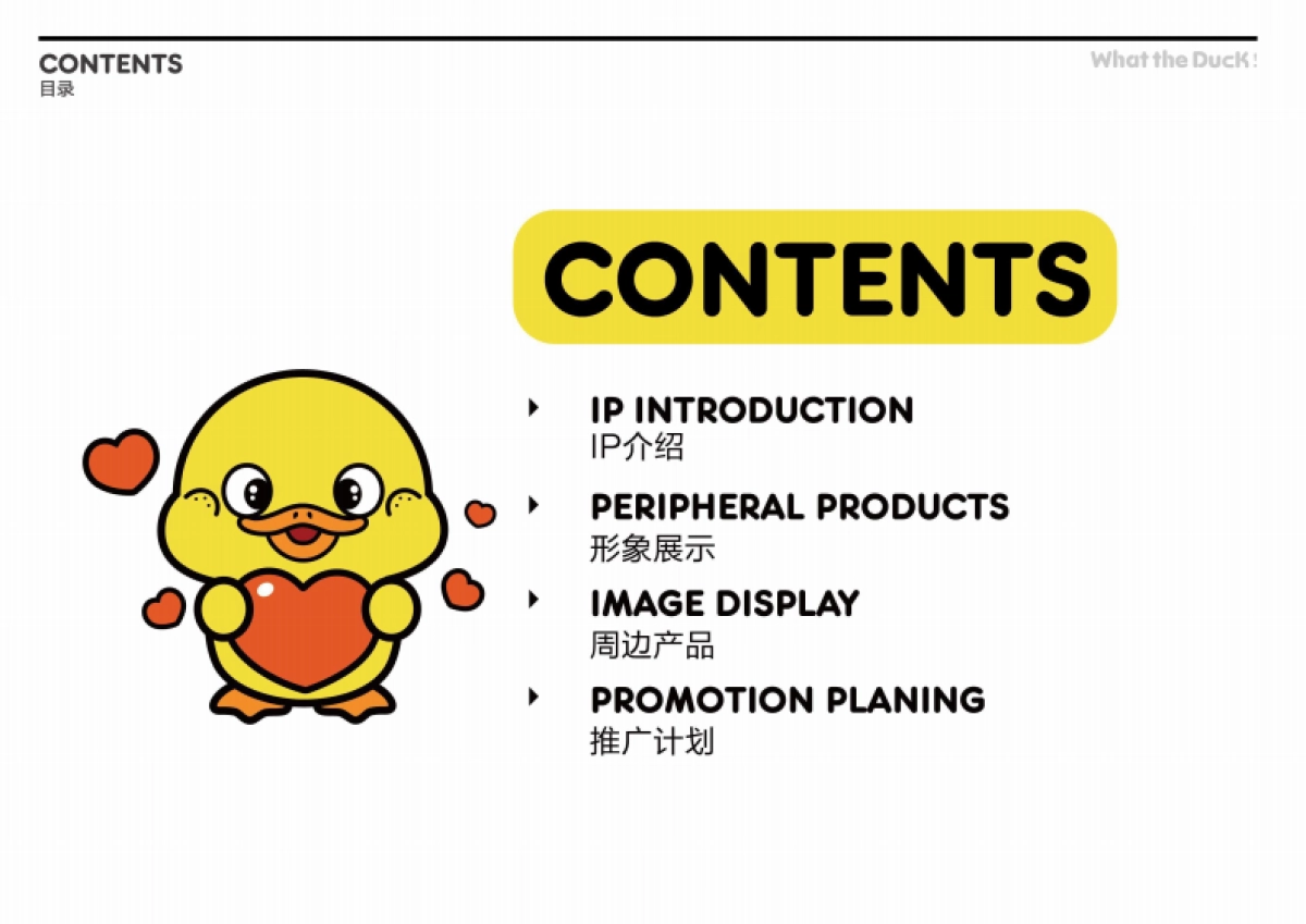 W.T.DUCK什么鸭品牌策划_第2页