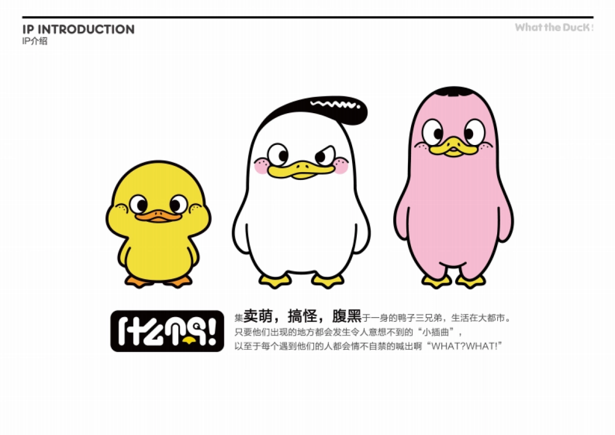 W.T.DUCK什么鸭品牌策划_第3页