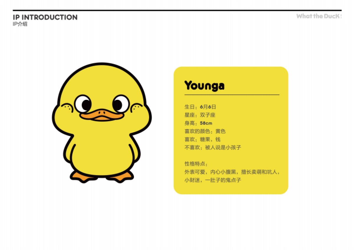 W.T.DUCK什么鸭品牌策划_第4页