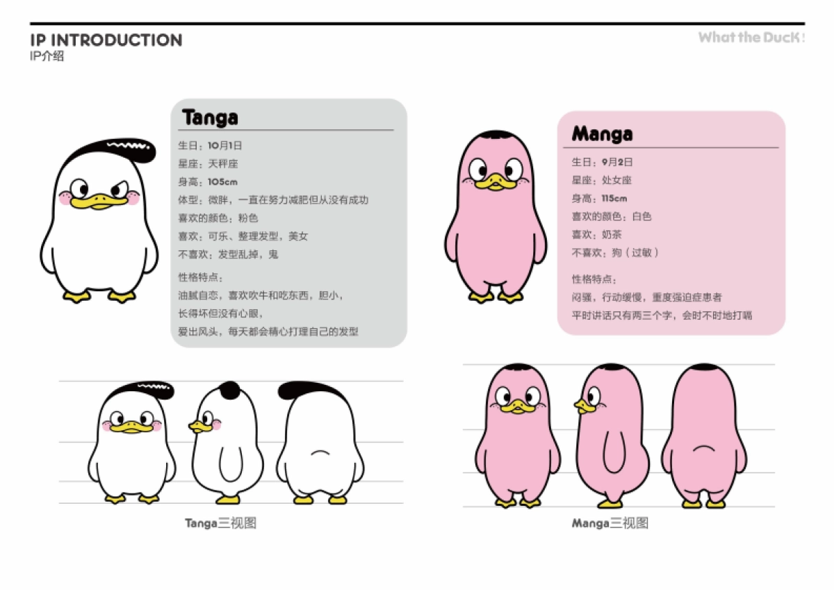 W.T.DUCK什么鸭品牌策划_第5页