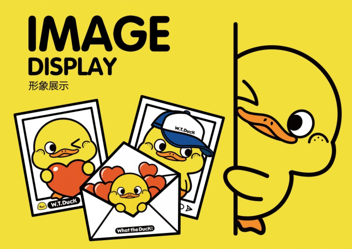 W.T.DUCK什么鸭品牌策划_第6页