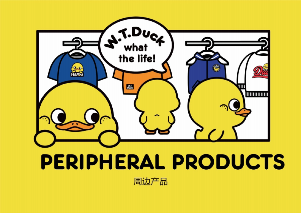 W.T.DUCK什么鸭品牌策划_第7页